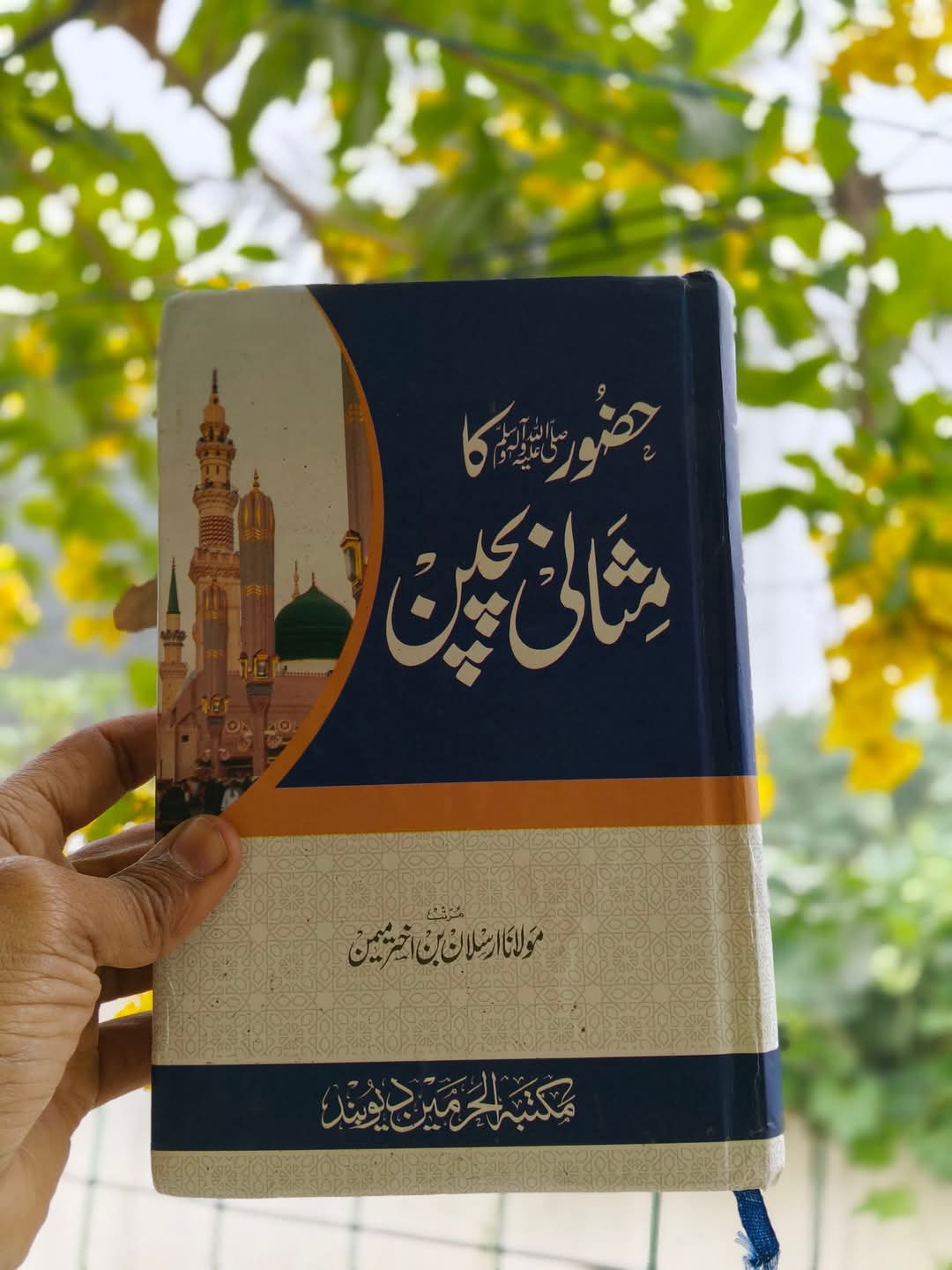 Book Cover