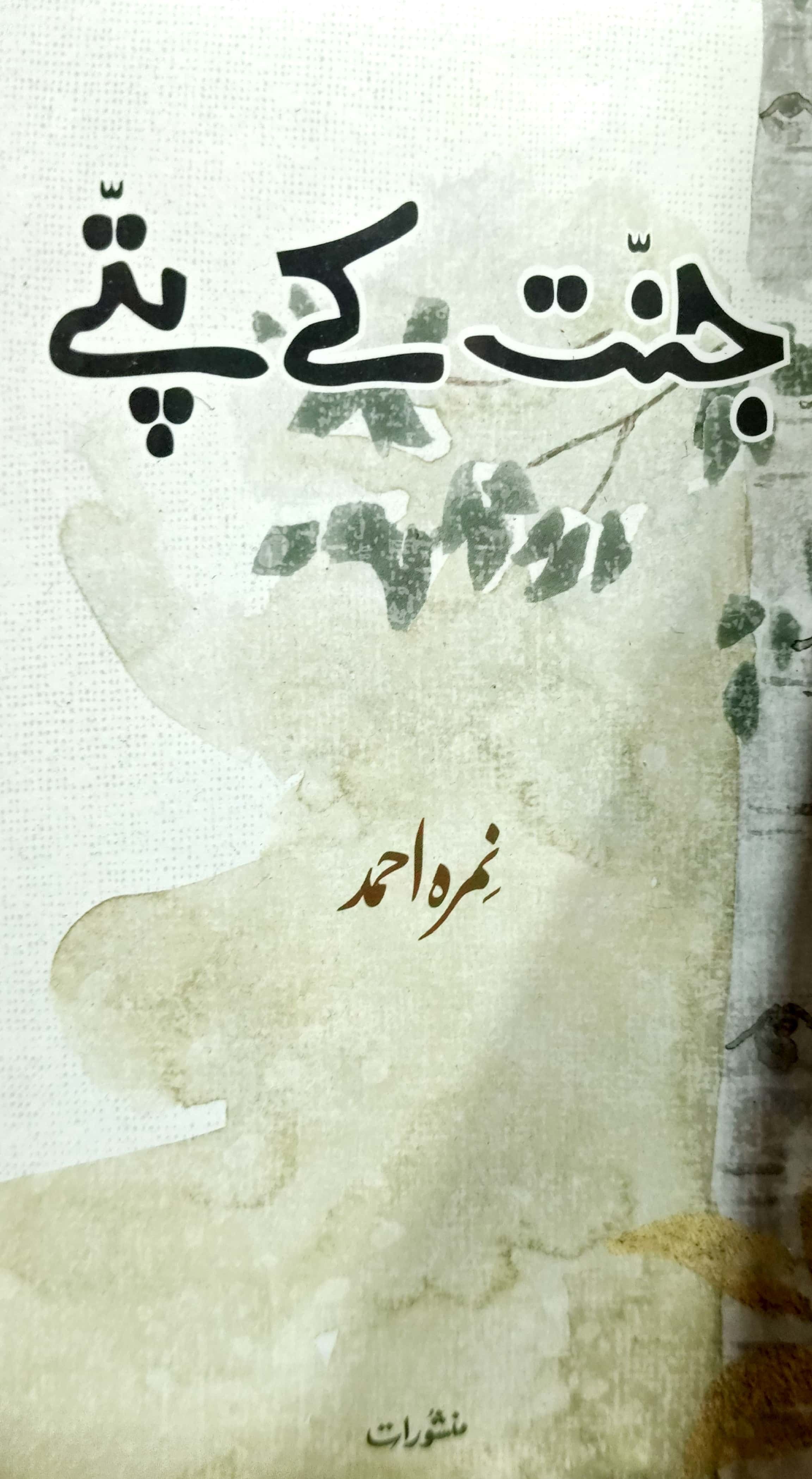 Book Cover