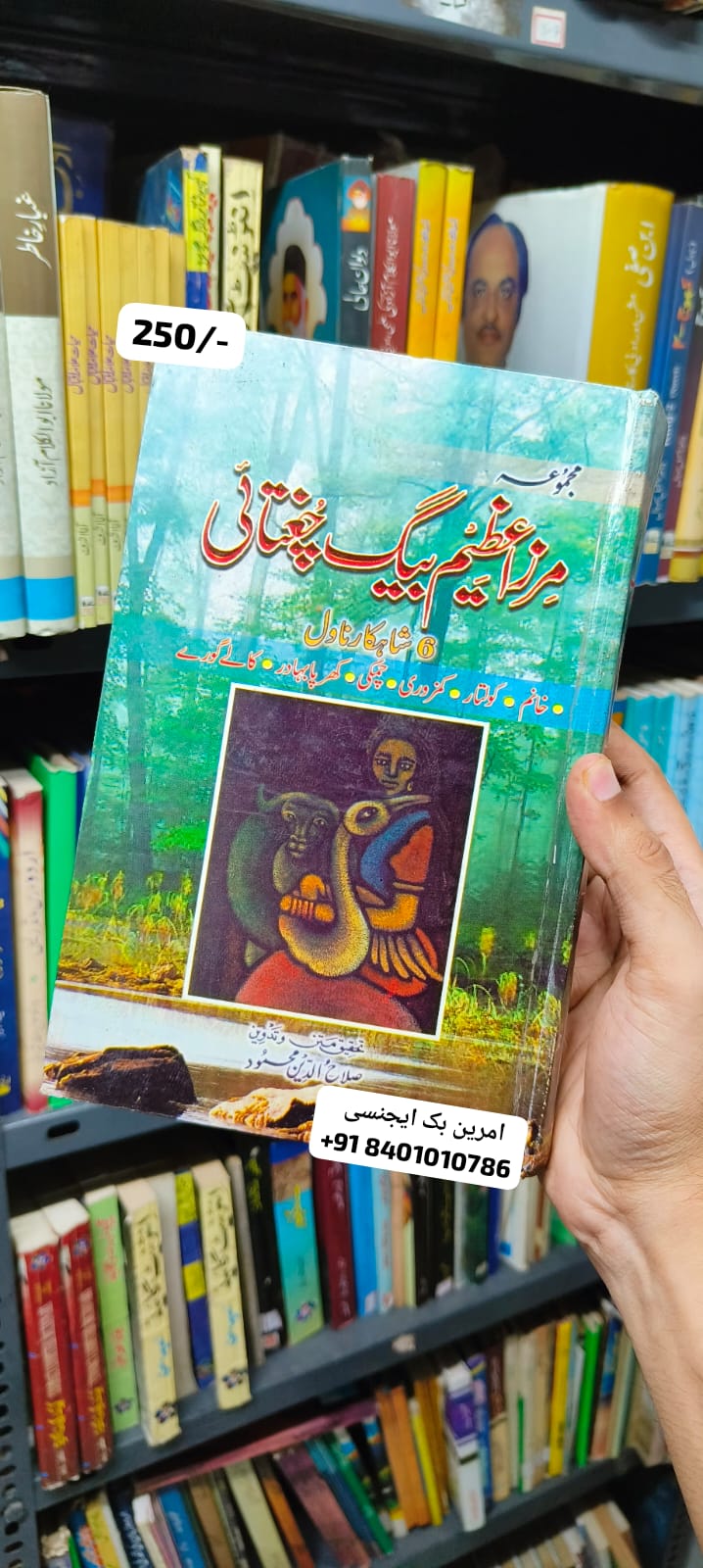 Book Cover