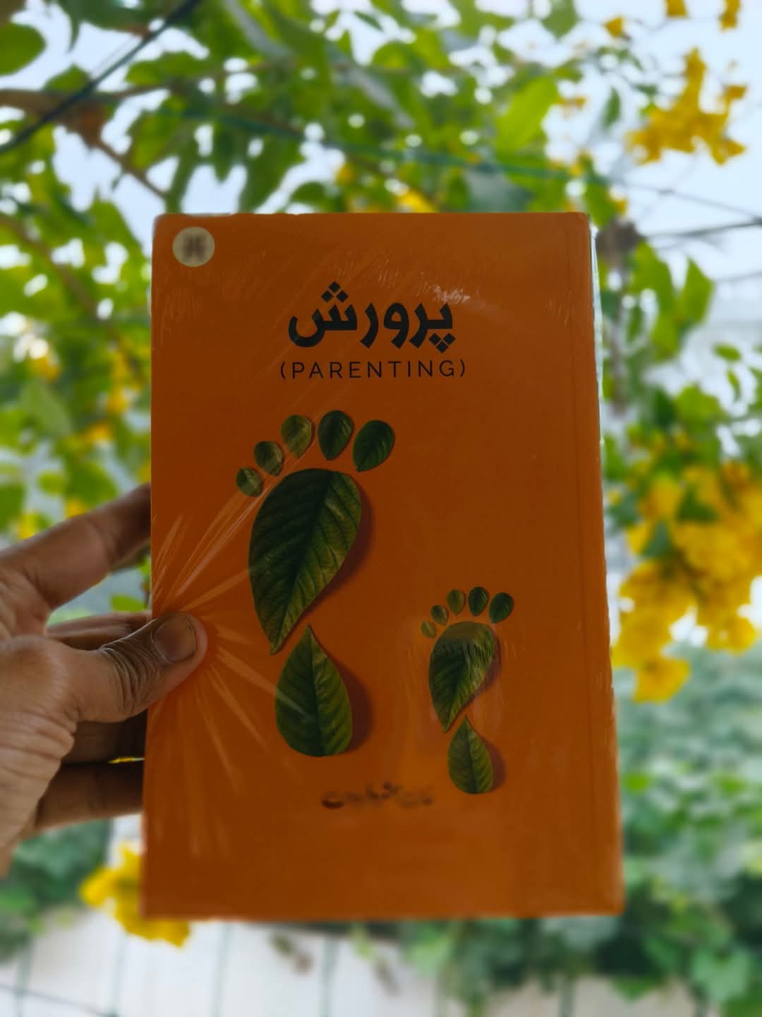 Book Cover